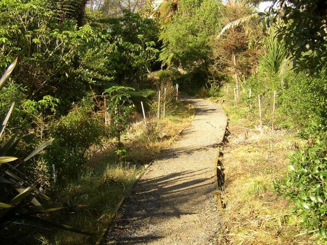 Top path. June 2004. Cambridge Tree Trust